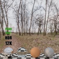 HDR panorama nature